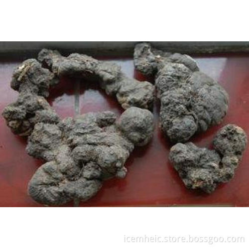 Chinese Herbal Medicines Polyporus Umbellatus